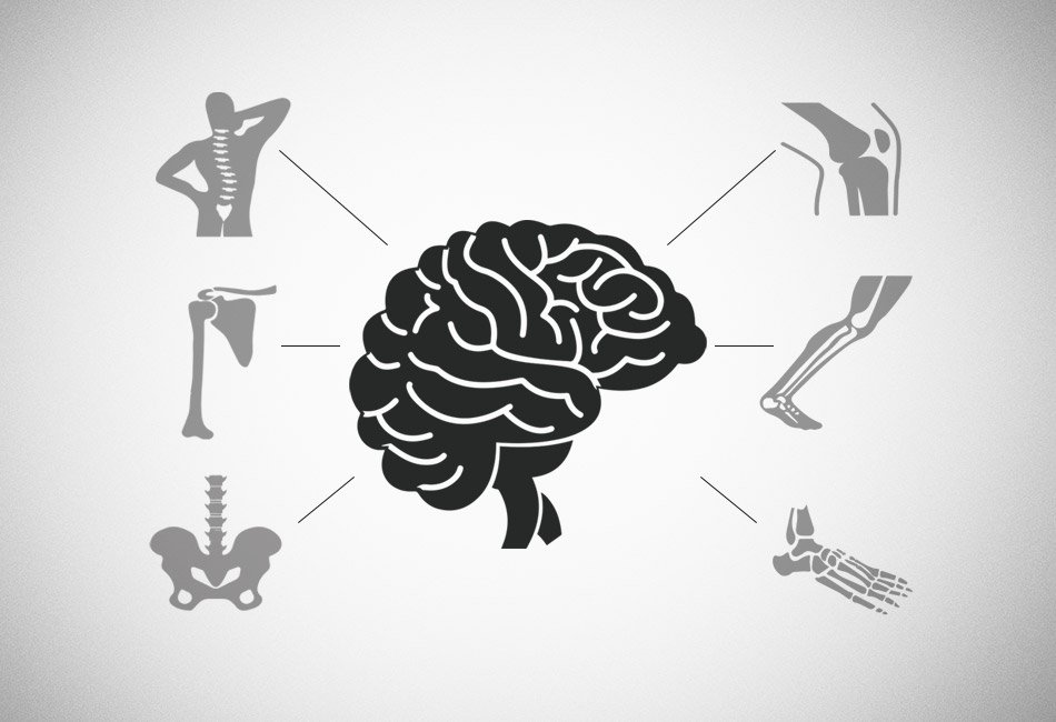 Bone Strength and Brain Health – How To Improve Both