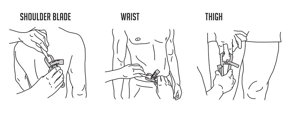 Calipers Measurements 