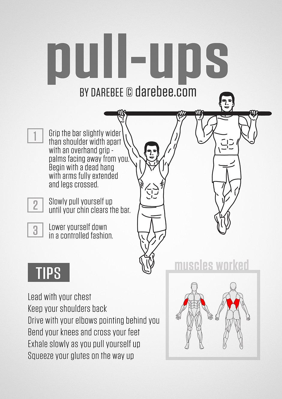 Pull-Ups Guide