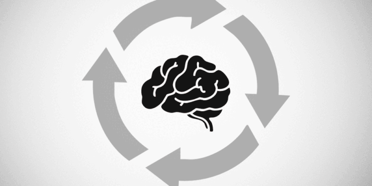 How to Train Your Brain Using Circuit Workouts